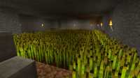 maison_en_brique_rouge (7)